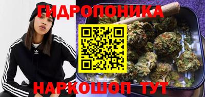 сатива Краснодар