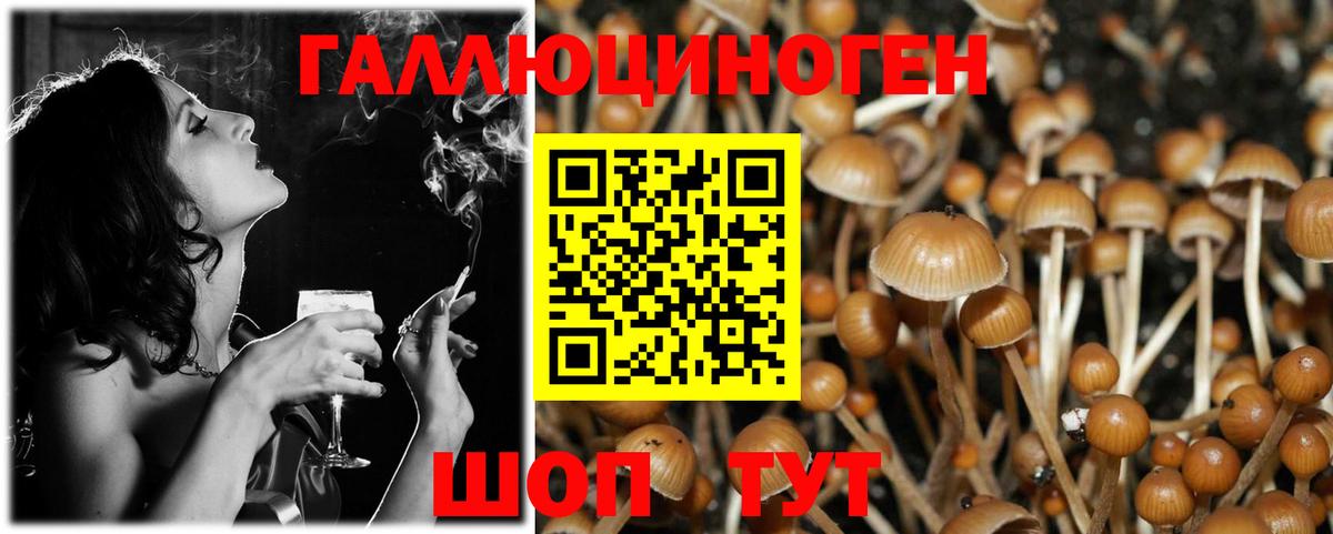 Клинцы  Галлюциногенные грибы Psilocybe  Вход с VPN 