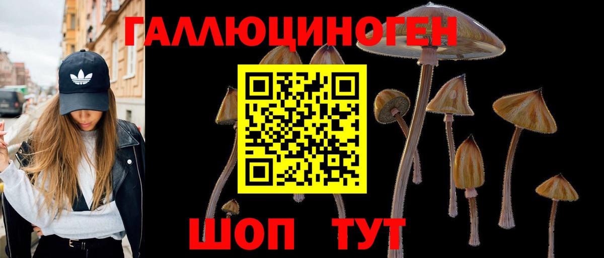 Псилоцибиновые грибы Magic Shrooms Клинцы